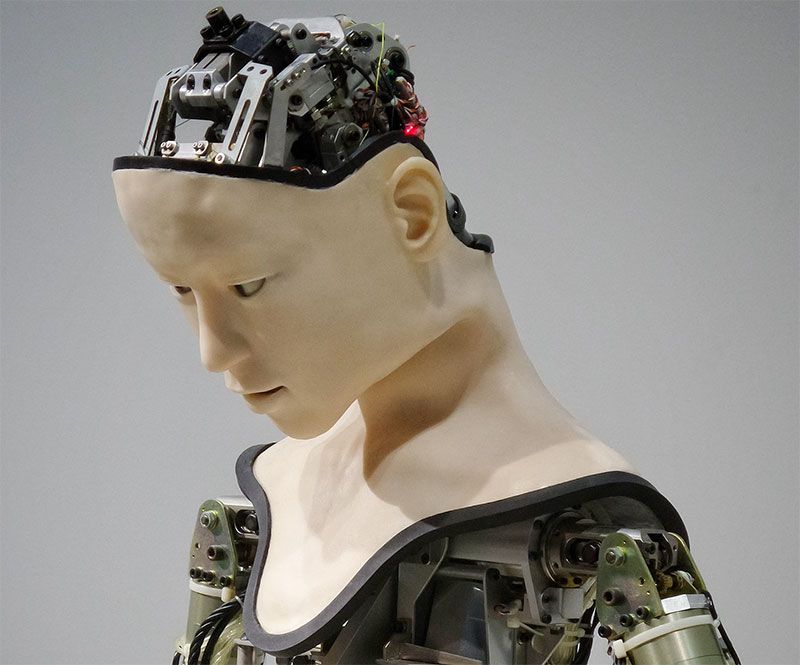 El sector de la imagen está a salvo de la robotización